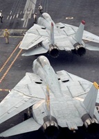 The Grumman F-14 Tomcat